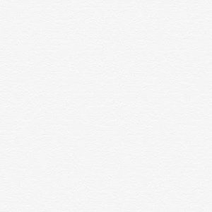 Meet your Posher, Aisha